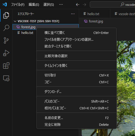 sshでリモート接続したvscodeからファイルをダウンロード